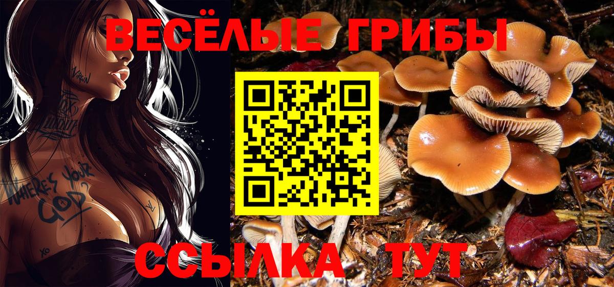 магазин продажи   Псилоцибиновые грибы GOLDEN TEACHER  Вход с VPN  Первоуральск 